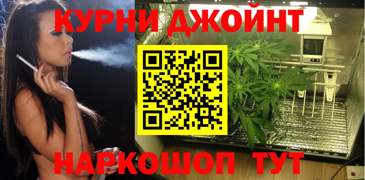 Шишки марихуана семена  Шишки марихуана OG Kush  Вход с VPN  Джанкой 